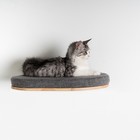 RHRQuality Climbing Wall - Cat Bed de Luxe (Grey)