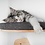 RHRQuality Cat Climbing Wall - Cat Bed de Luxe (Grey)