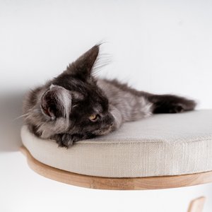 RHRQuality Cat Climbing Wall - Cat Bed de Luxe (Beige)