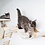 RHRQuality Cat Climbing Wall - Hammock de Luxe XXL (Beige)