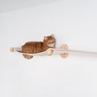 RHRQuality Cat Climbing Wall - Wall Bridge (Beige)