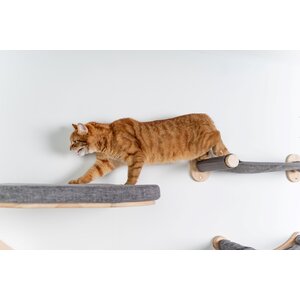 RHRQuality Cat Climbing Wall - Wall Bridge (Blackline)