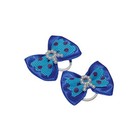 Show Tech Bow Blue with Pearls