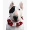 Doxtasy Jingle Collar Red White KLEINE