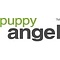 Puppy Angel Miss Daisy Strumpfhosen, Ivory