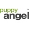Puppy Angel Plush Crown Harness Black