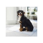 Savic Savic Comfort Pads 100x66cm - 6 stuks Zindelijkheidstraining Voor Honden