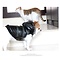 Pretty Pet PrettyPet Metallic Jacket black