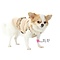 Pretty Pet PrettyPet Coco Coat gray