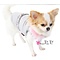 Pretty Pet PrettyPet Coco Coat Gray