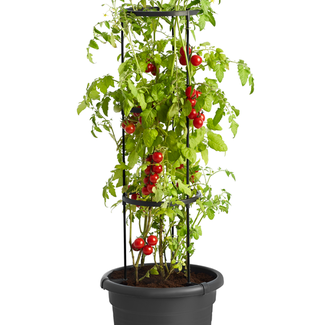 Elho Green Basics Tomatenpot 33 cm