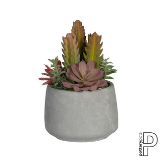 PotteryPots (uit collectie) Mixplants in cement pot