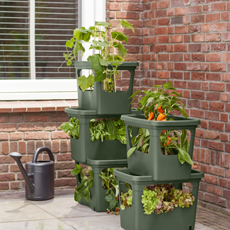 Elho 2024 Green Basics Stack and Grow Large 50 x 35 x 36 cm