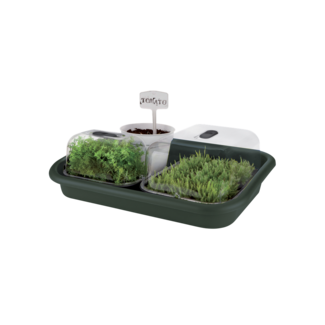 Elho 2024 Green Basics Tuintray