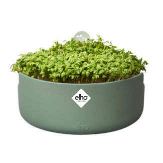 Elho 2024 Magic Microgreens