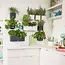 Cube Color Green Wall Home Kit - 48 x 15 x 14 cm