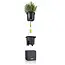 Cube Color Green Wall Home Kit - 48 x 15 x 14 cm