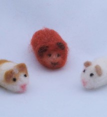 De Wolshoop Mini cavia