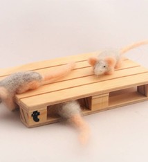 De Wolshoop Pallet met muizen