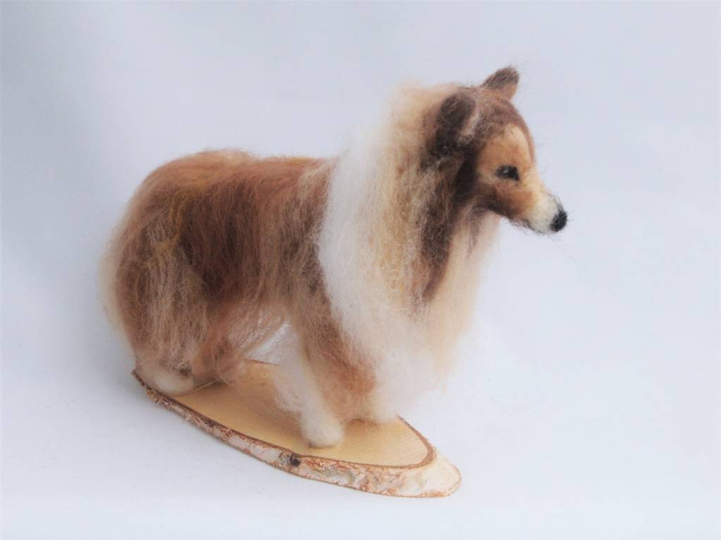 De Wolshoop Hond Collie blond