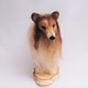 De Wolshoop Hond Collie blond