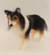 De Wolshoop Hond Collie zwart
