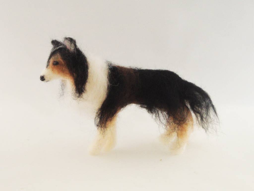 De Wolshoop Hond Collie zwart