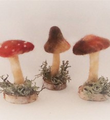 De Wolshoop Paddenstoel