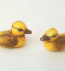 De Wolshoop Jong eendje