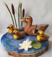 De Wolshoop Eendenvijver