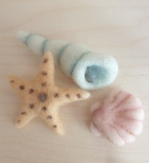 De Wolshoop schelpen