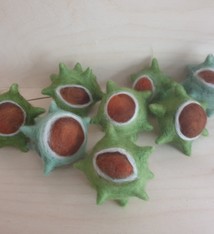 De Wolshoop Kastanje