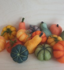 De Wolshoop Pompoentje