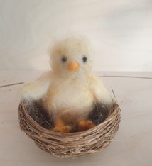 De Wolshoop kuiken in nestje