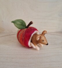 De Wolshoop Appel met muisje