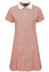 Banner Gingham Summer Dress