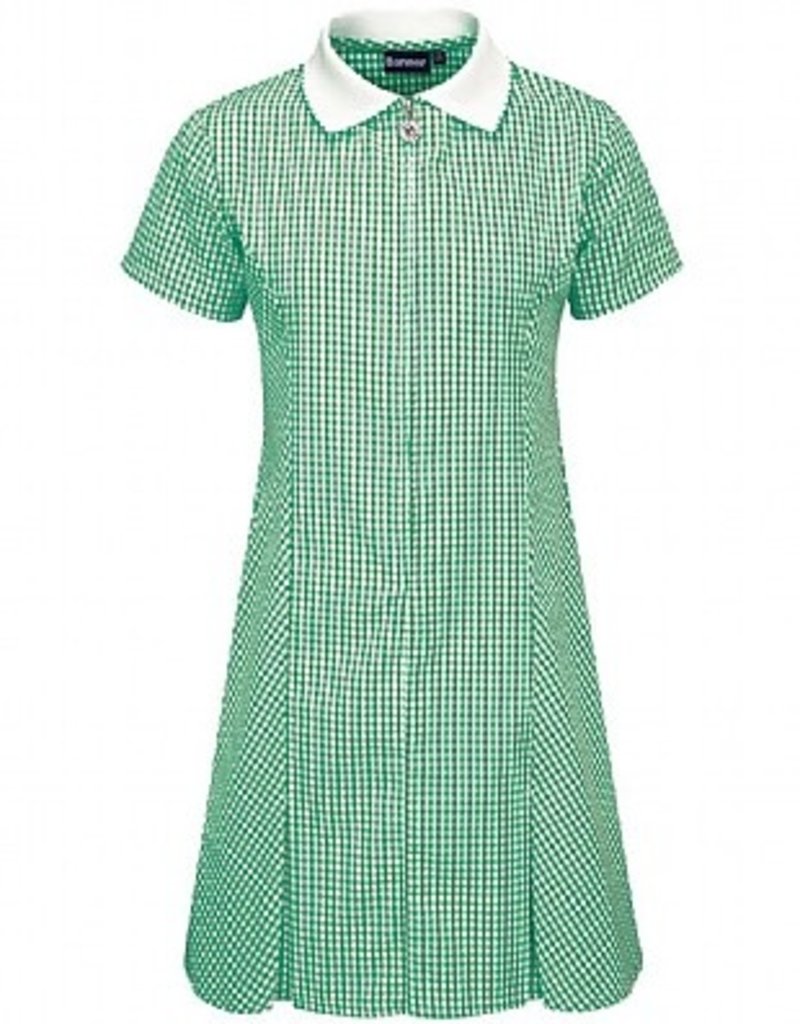 Banner Gingham Summer Dress