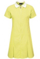 Banner Gingham Summer Dress