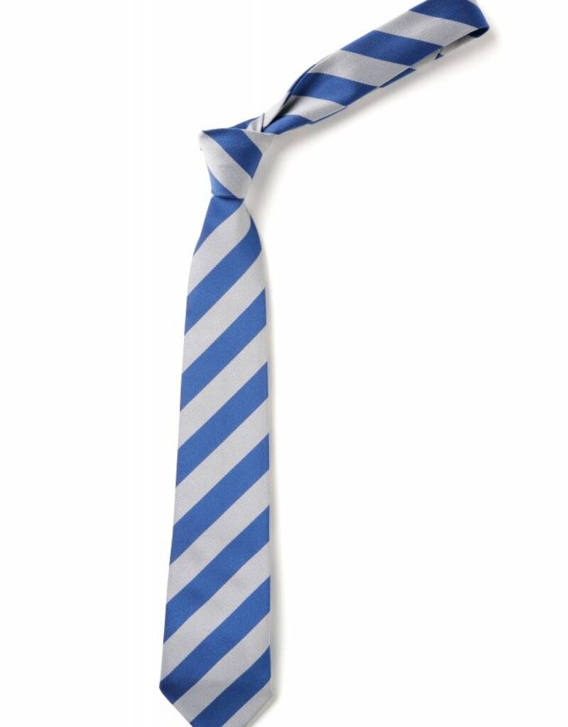 Les Beaucamps High School Tie Y11 Tie (clip on)