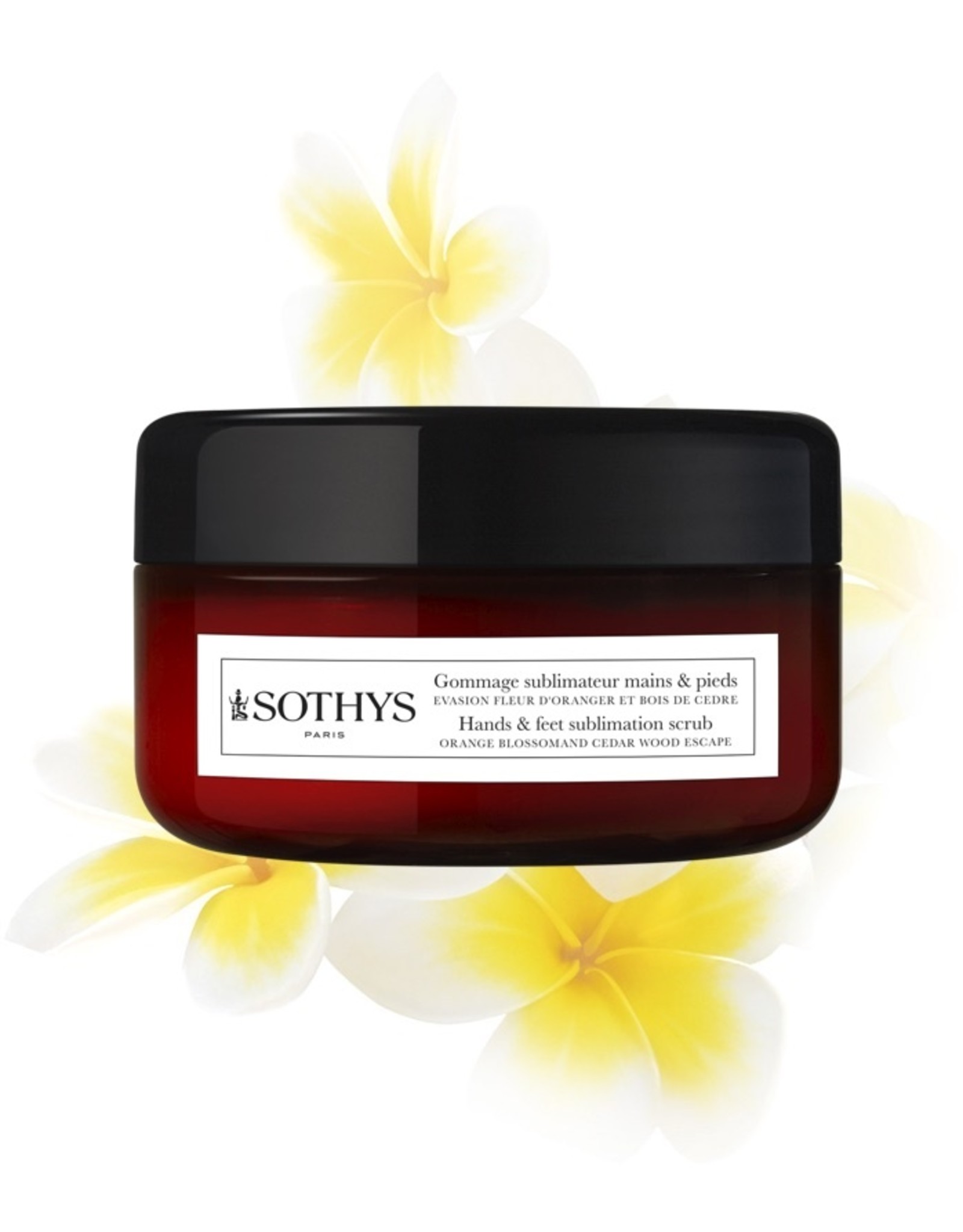 SOTHYS Sublimateur Express mains & pieds - Fleur d'oranger et bois de  cèdre