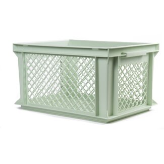 Lastpak Middelgrote fietskrat - stevig kunststof - groen - 40 x 30 x 22 cm - geperforeerde bodem