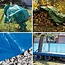 Benson Lichtgewicht waterdicht afdekzeil - 3 x 5 meter - blauw - versterkte zomen - stevige ringen