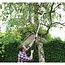 Silverline Telescopische takkenzaag - stalen driezijdig zaagblad 47 cm - telescoopsteel 150-250 cm - grijs - tuinonderhoud
