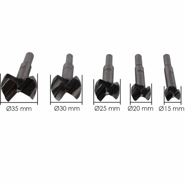 Hofftech Forstnerboor set - 5 delig - Voor strakke en splintervrije gaten - Inclusief opbergkoffer