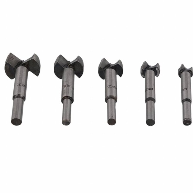 Hofftech Forstnerboor set - 5 delig - Voor strakke en splintervrije gaten - Inclusief opbergkoffer