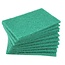 Benson Schuurpads - 14.5 x 10 x 1 cm - Groen - 10 stuks