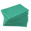 Benson Schuurpads - Multifunctioneel - 14.5 x 10 x 1 cm - Groen - 10 stuks