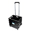 Silverline Inklapbare trolley met krat - plat opvouwbaar - 25 kg capaciteit - verstelbaar handvat
