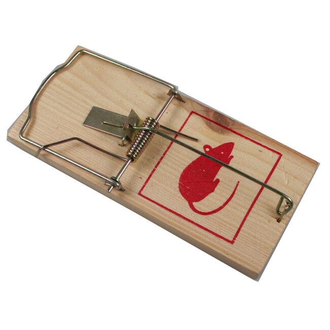 Benson Houten muizenval - Jumbo formaat - 170 x 80 x 5 mm - Snel en effectief