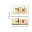 Benson Houten muizenval - Jumbo formaat - 170 x 80 x 5 mm - Snel en effectief